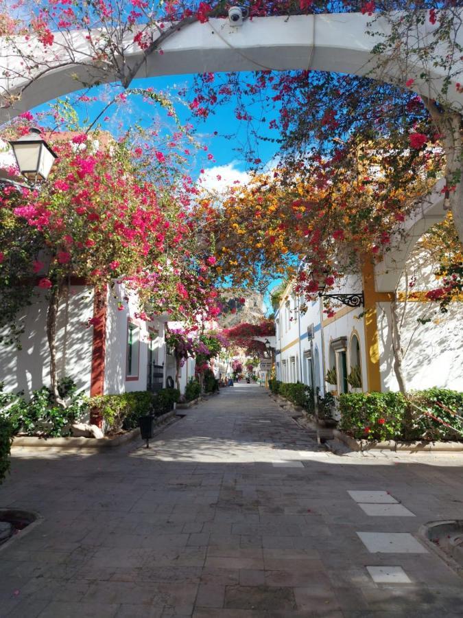 Vv Estrella Apartment Puerto De Mogan Luaran gambar